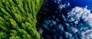 A forest and lake reflecting sky and clouds as shot from above.